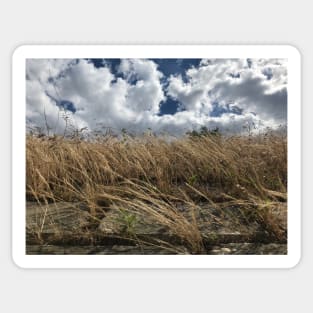 Believe, hope and be happy. Picturesque cumulus cloud scenery with windy bush plants Sticker